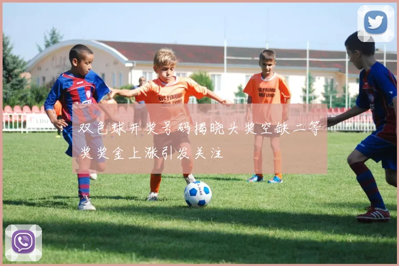 双色球开奖号码揭晓头奖空缺二等奖奖金上涨引发关注